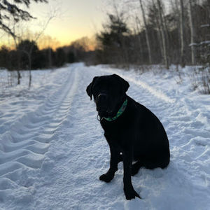 Meet your Posher, Stephen